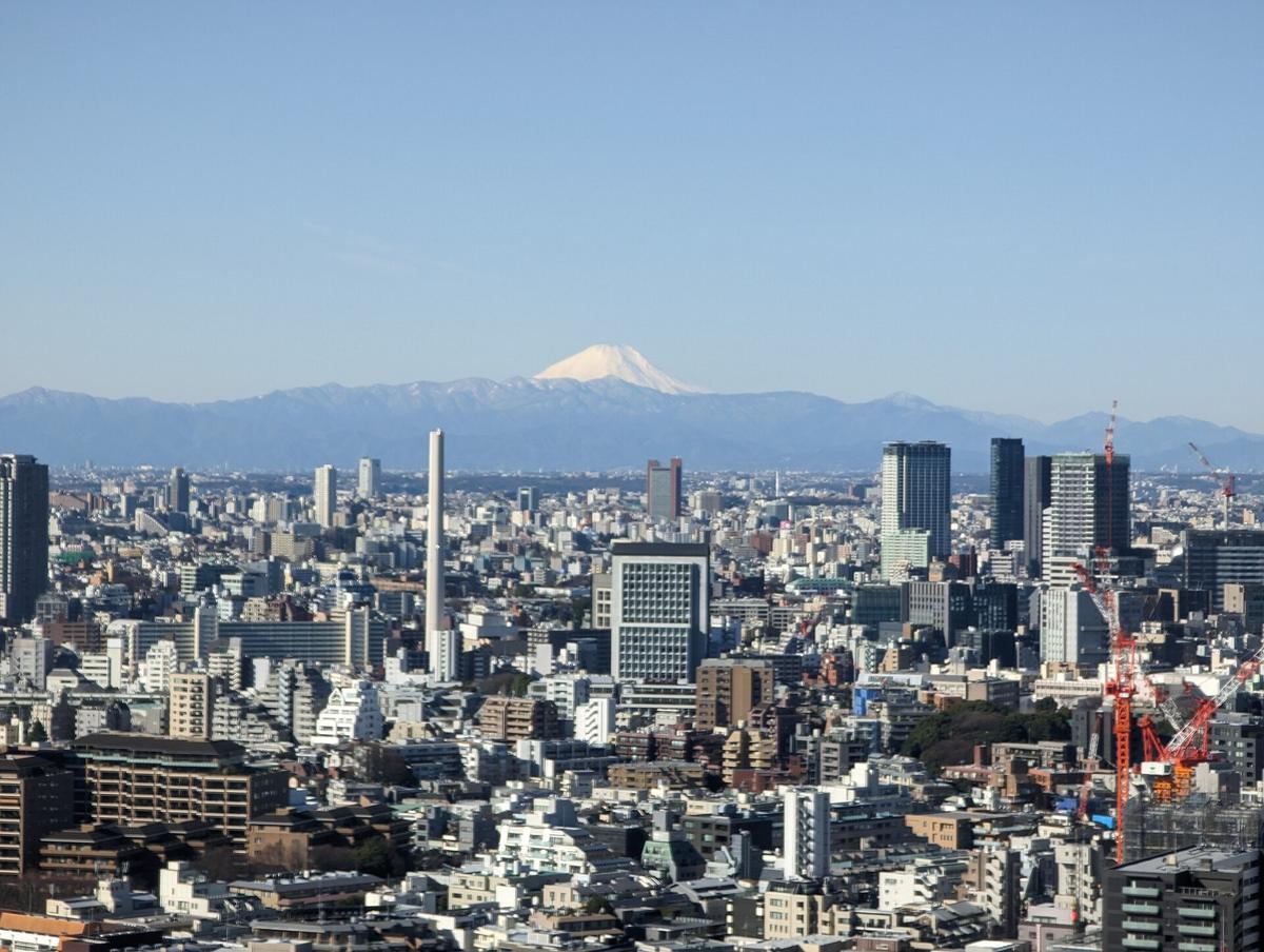 Tokyo skyline Mount Fuji